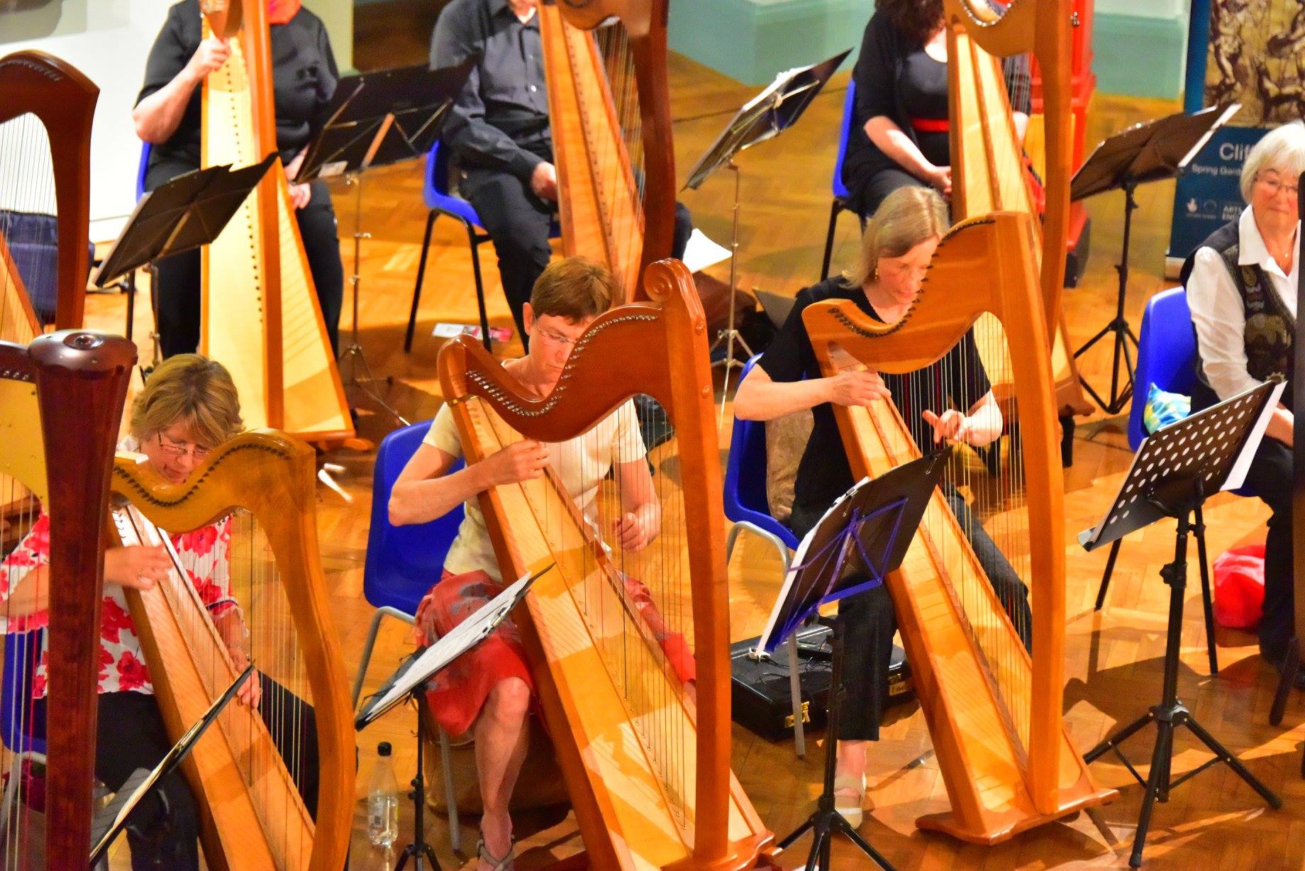 members of Transpennine Harps playing a group concert